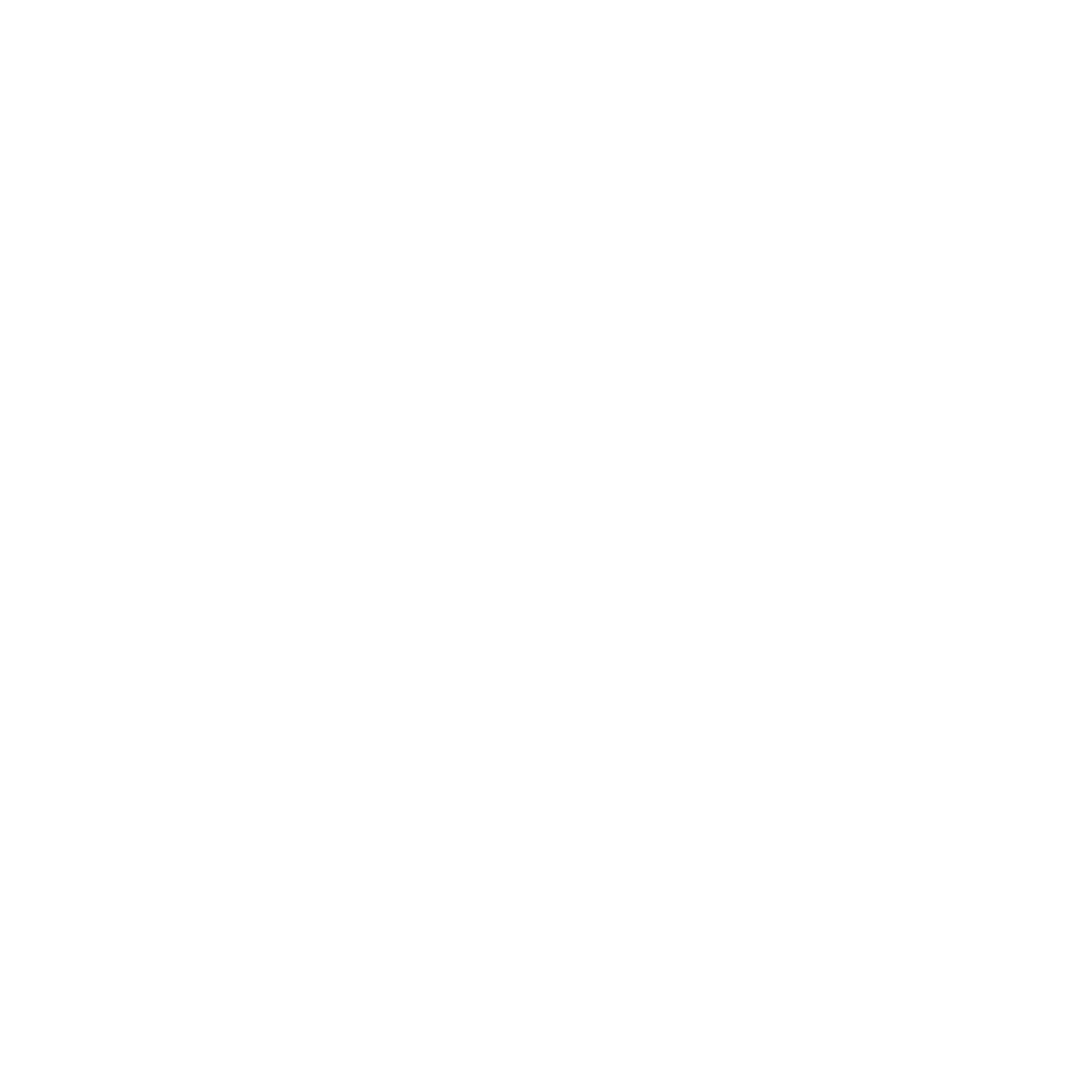Algo Minds